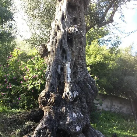 Appartamento Pace E Salute Santa-Reparata-di-Balagna