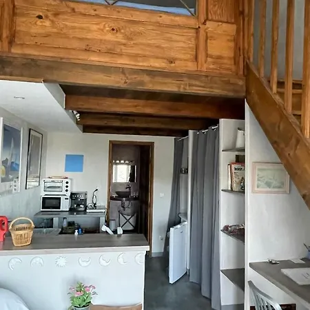Pace E Salute Apartment *