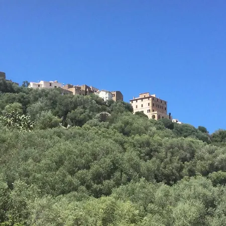 Διαμέρισμα Pace E Salute *