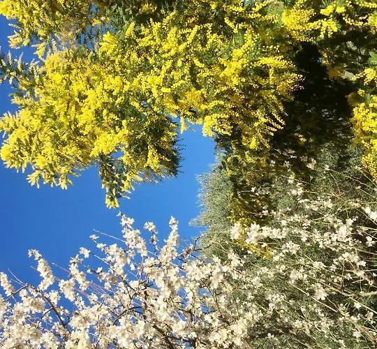 Pace E Salute Διαμέρισμα